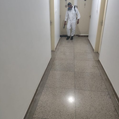 dedetizacao-goiania-resultado-condominio